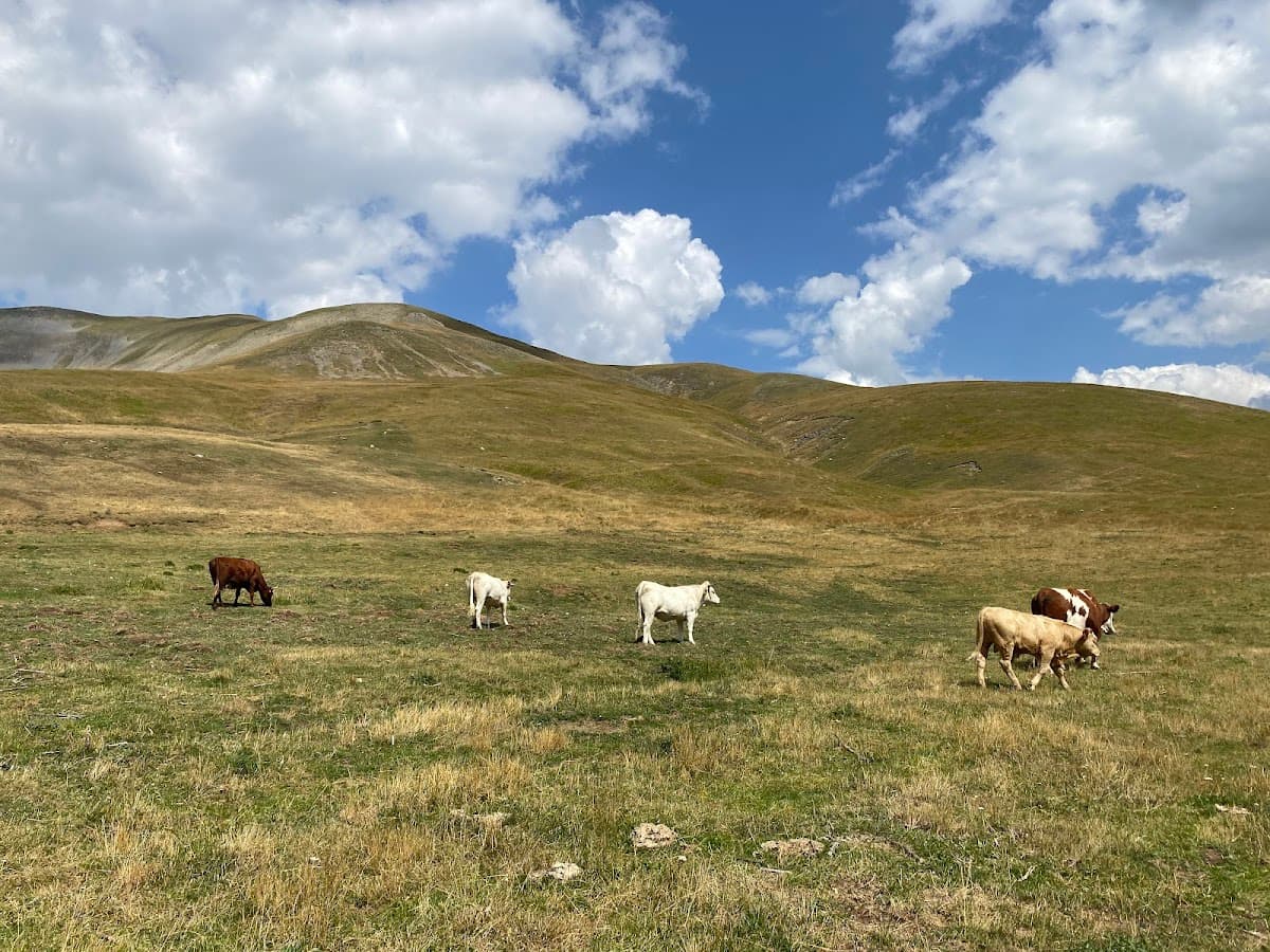 Zone d'embarquement de Pont Long