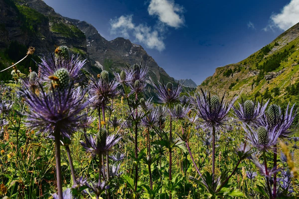 Le Fournel (alt 934m)