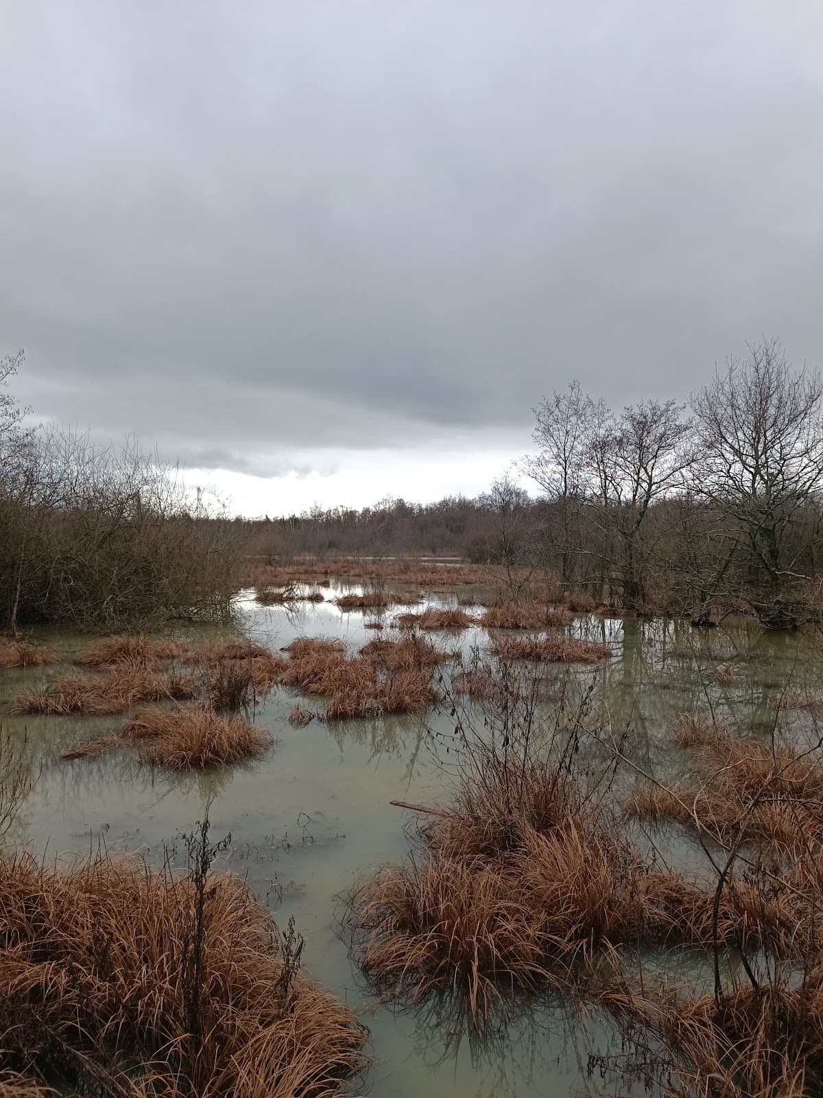 SENTIERS DE RANDONNEES PEDESTRES