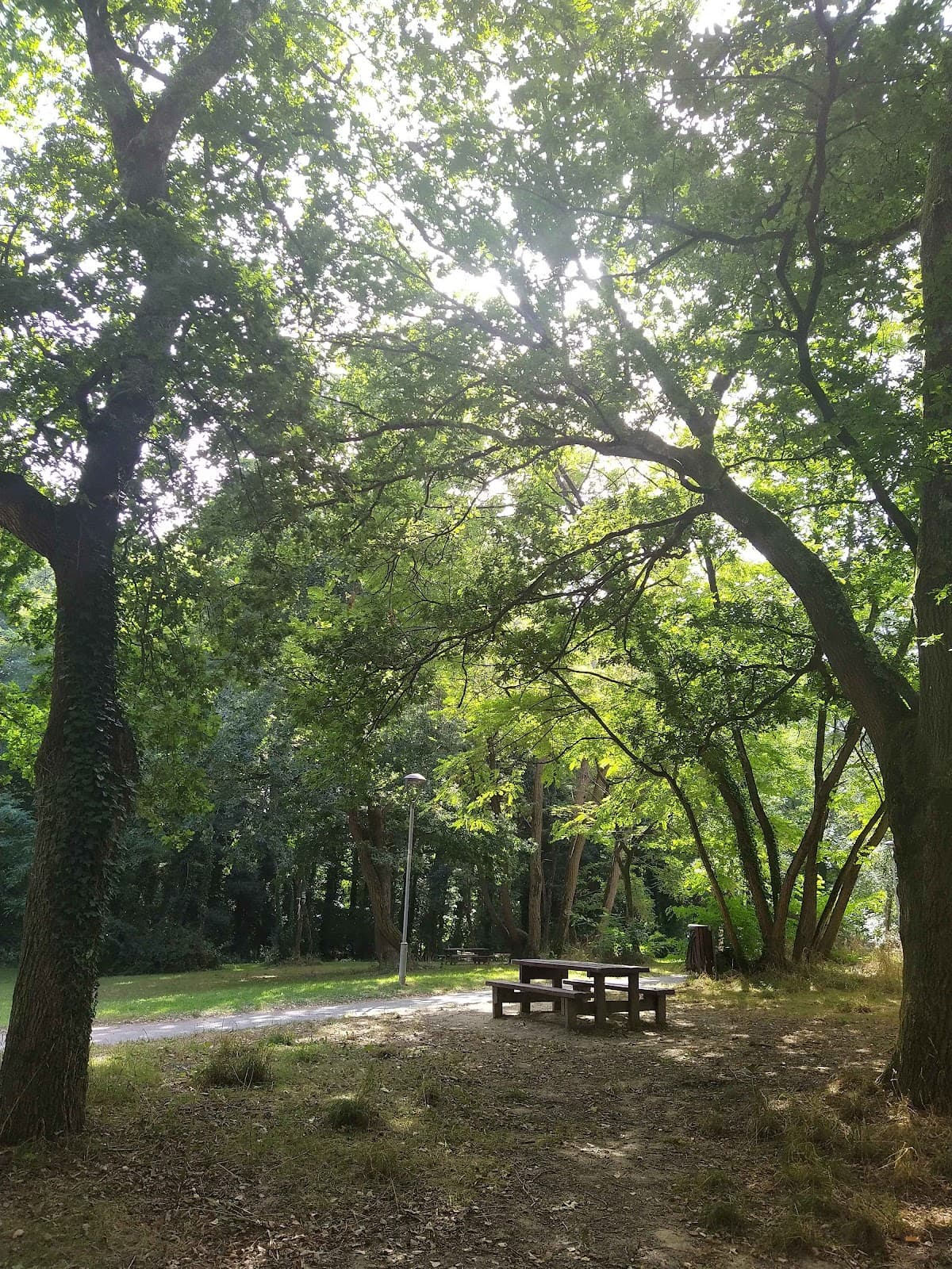 CIRCUITS DE RANDONNEES