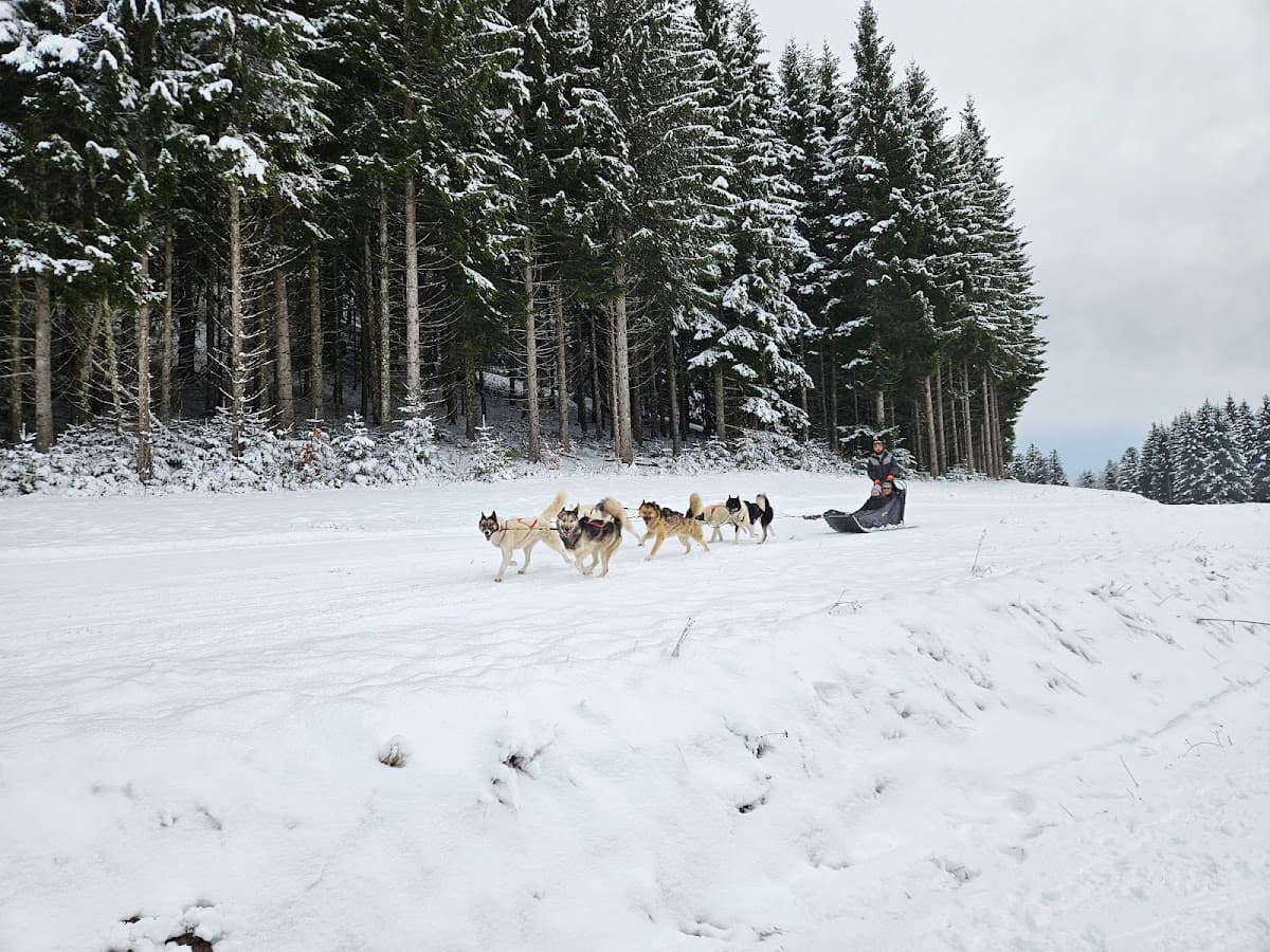 DOMAINE DE SKI DE FOND