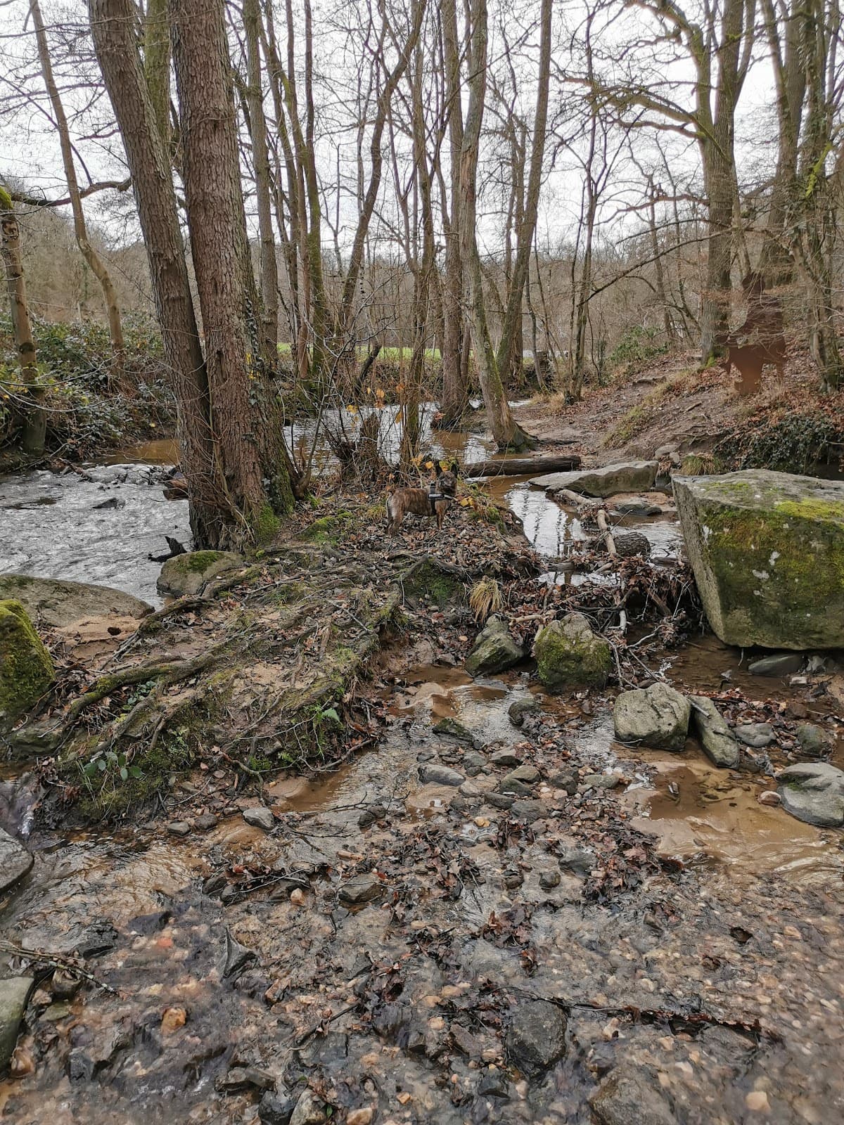 SENTIERS RANDONNEES PEDESTRES