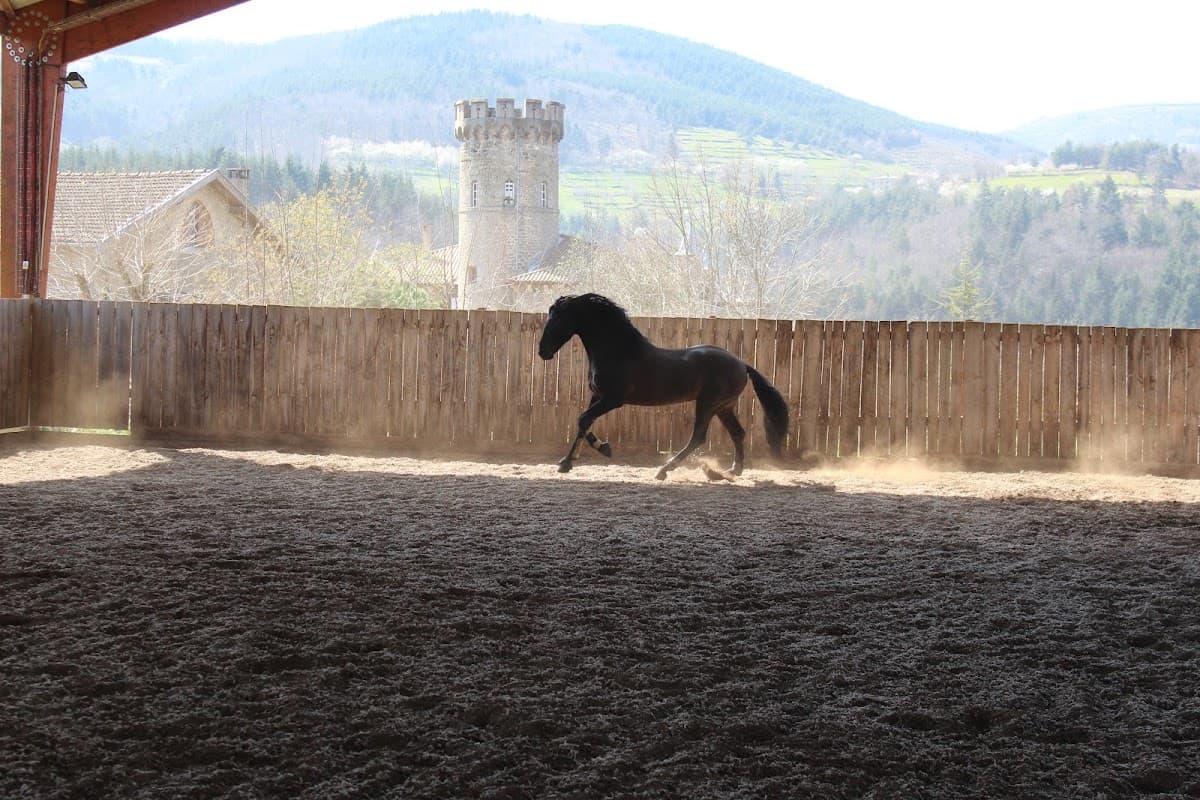RANDO EQUESTRE