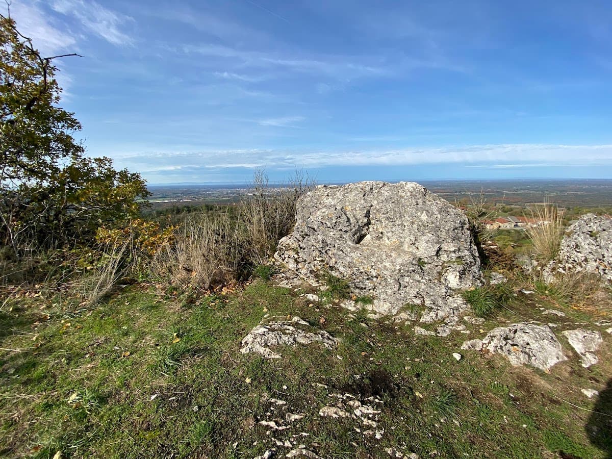 ECOLE D'ESCALADE CLAIRIERE DES PETITS LAPINS