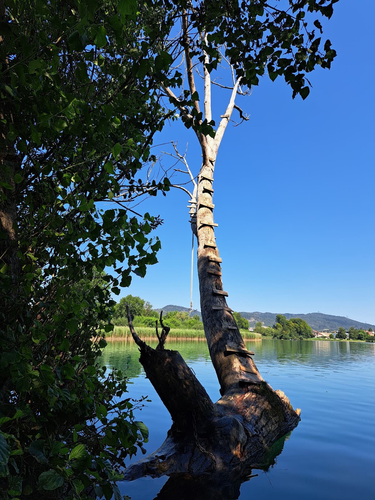 ECOLE D'ESCALADE DE NANTUA