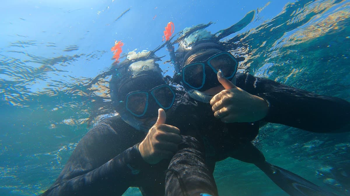 MER MEDITERANNEE SITES DE PLONGEE ILE PLANE