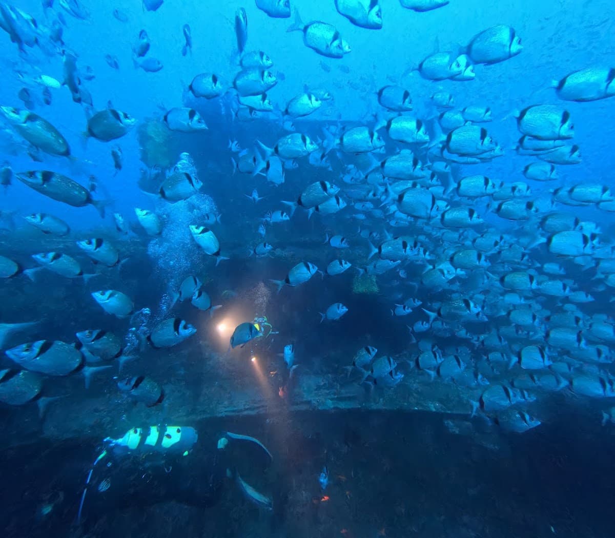 MER MEDITERANNEE SITES DE PLONGEE "EPAVES"
