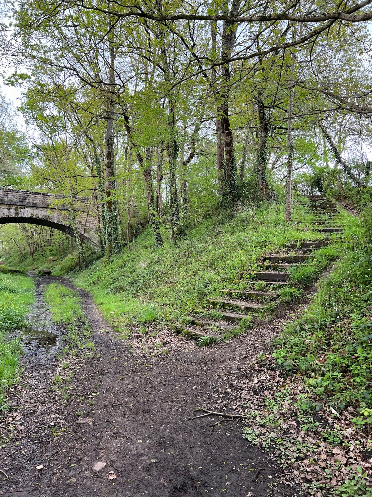 CHEMINS DE RANDONNEE