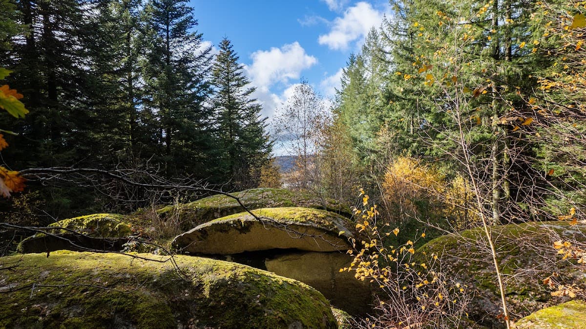 Circuit "Les rochers de Chaveroche"