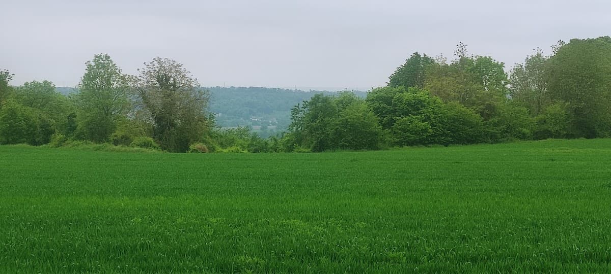 Circuit de randonnée
