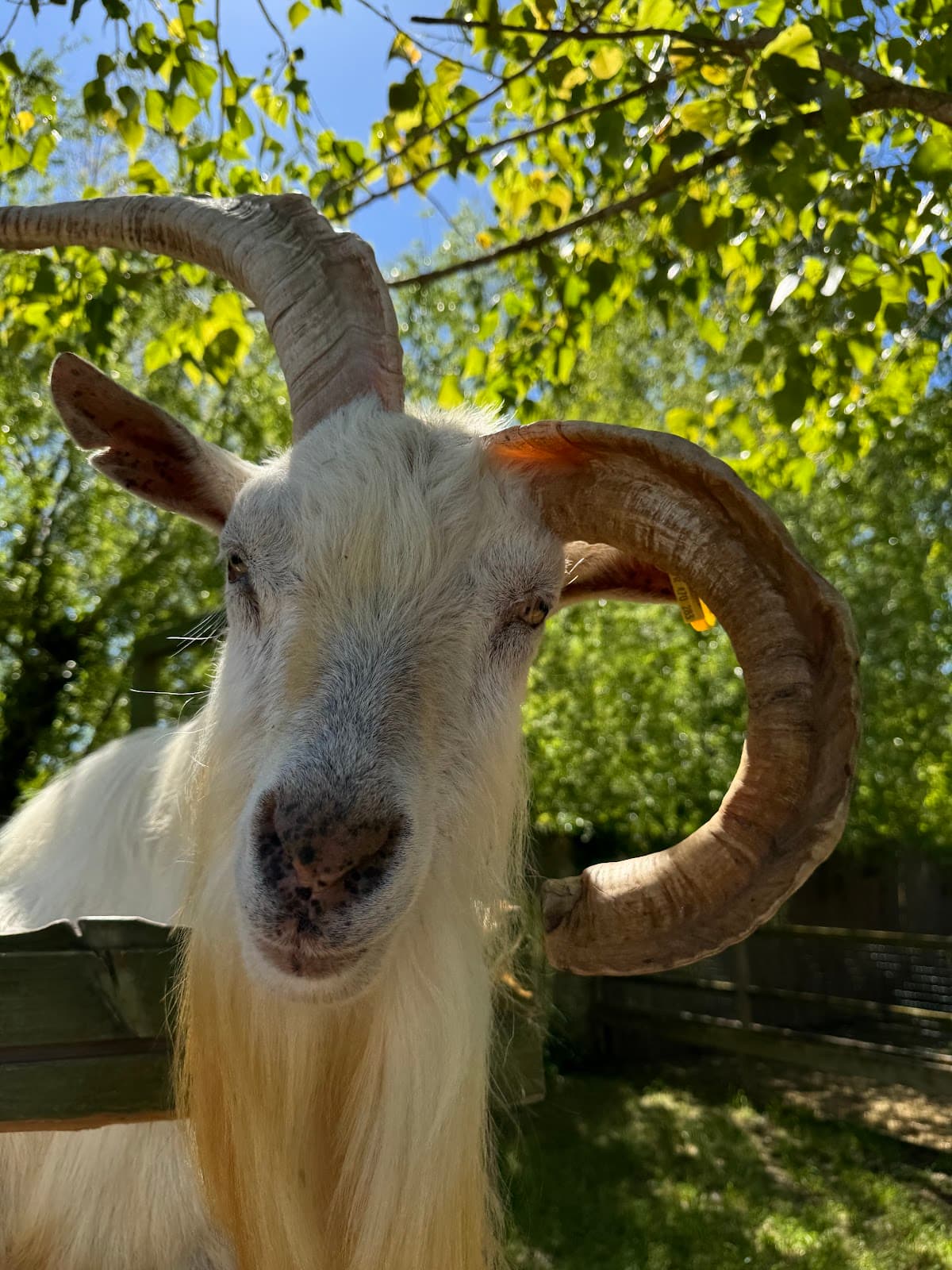 La Ferme de la Découverte